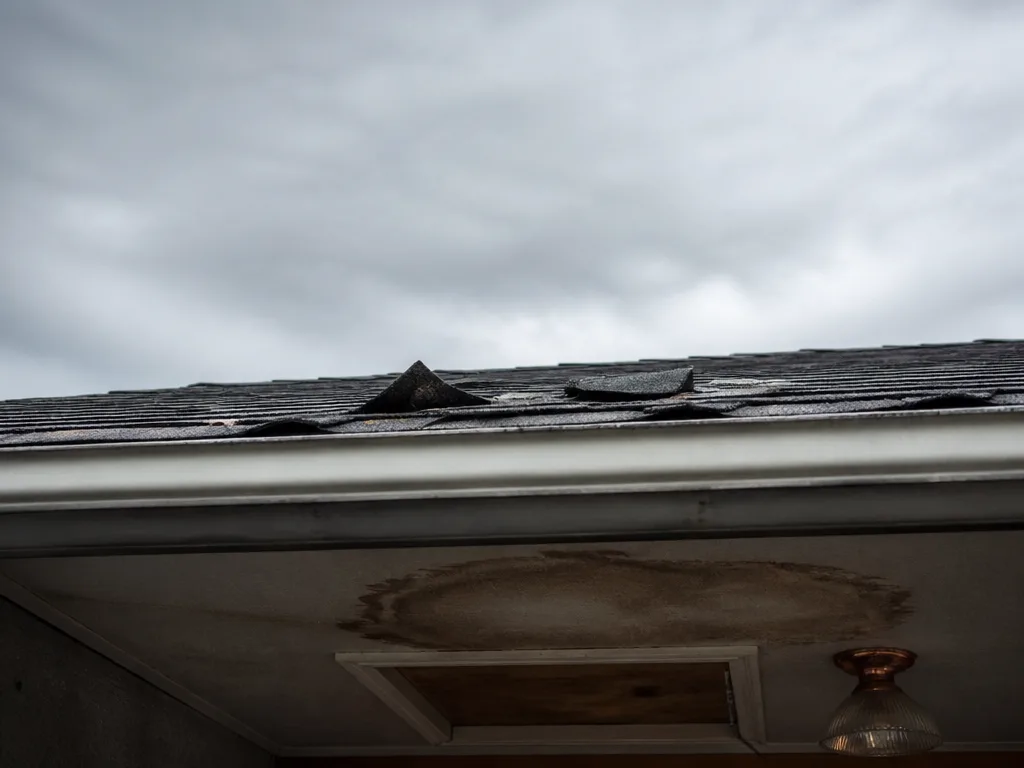 Common warning signs of roof damage homeowners notice